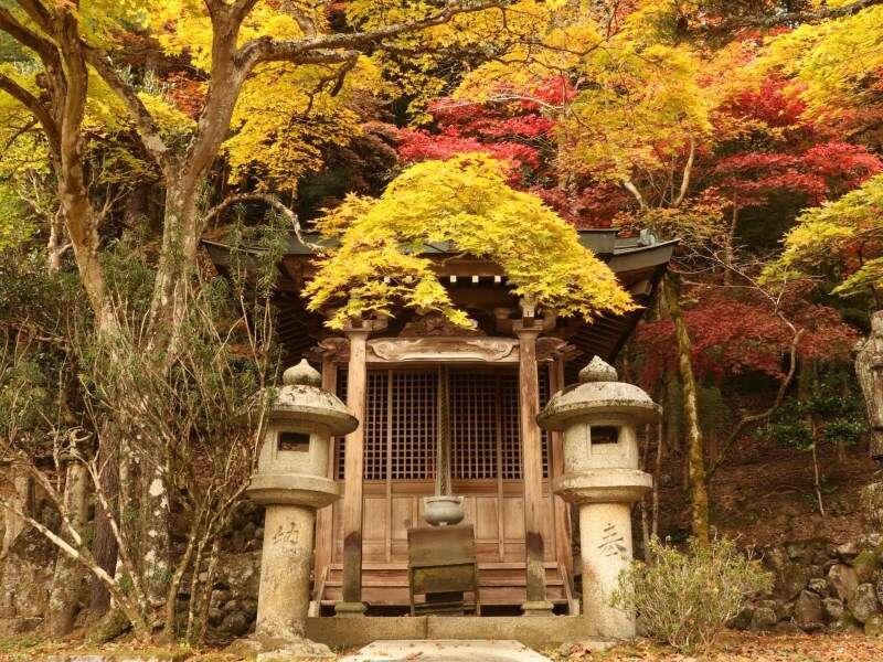 Yumoto Ueyama Ryokan هيميجي المظهر الخارجي الصورة