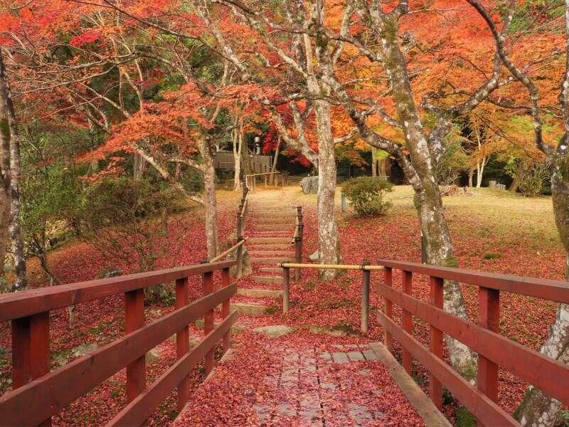 Yumoto Ueyama Ryokan هيميجي المظهر الخارجي الصورة