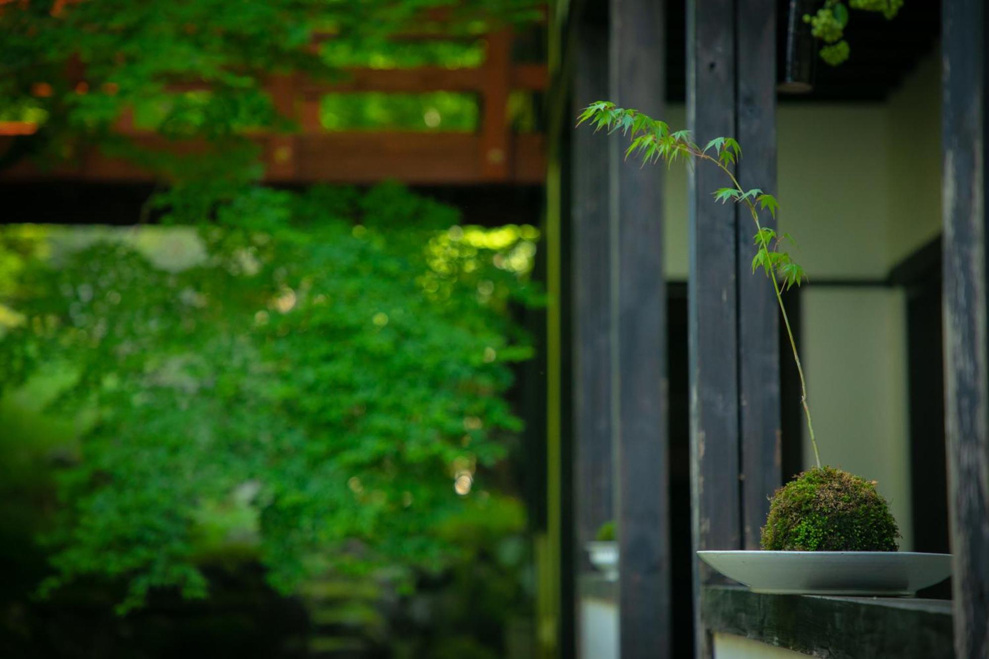 Yumoto Ueyama Ryokan هيميجي المظهر الخارجي الصورة